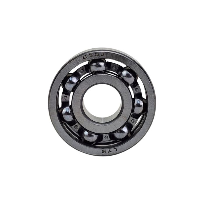 Bearing - 6303-2/P6