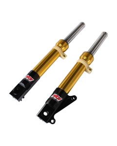 NCY Front Forks (DiskType, Gold); Honda Ruckus, Dio