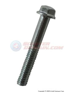 Hexagon Bolt for Crankcase Cover 6mm x 35mm (Set of 8) - QMB, 49/50cc