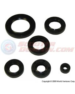 Oil Seal Set vertical motor