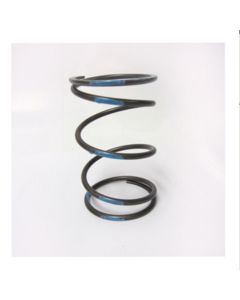 Clutch Spring - Pinasco Piaggio Zip 4T